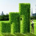 豆丁認證用戶:myhealthbeijing