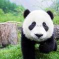 xiaowen.0412