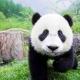 xiaowen.0412