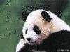 張松濤